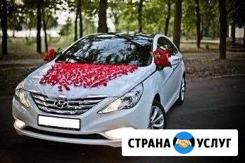 Прокат красивого авто на свадьбу и др. торжества Сургут - изображение 1