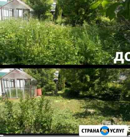 Покос травы и газона Жабино