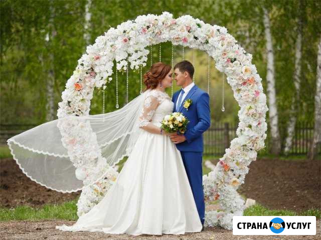 Ведущий Волгоград - изображение 1