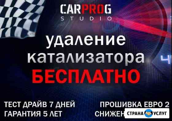 Удаление катализатора. (Прошивка).Евро 2. DPF/EGR Волгоград