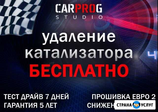 Удаление катализатора. (Прошивка).Евро 2. DPF/EGR Волгоград - изображение 1