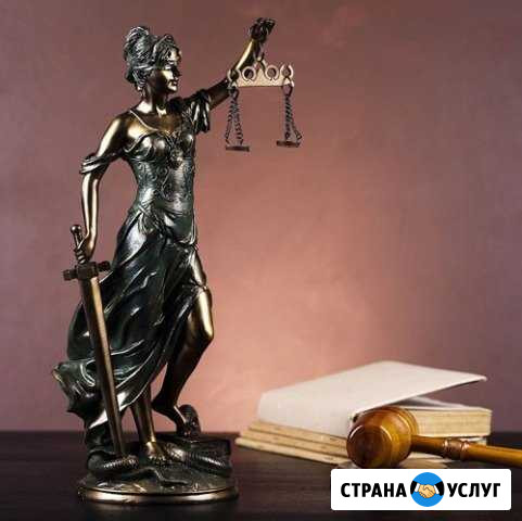 Юридическая помощь Сковородино - изображение 1