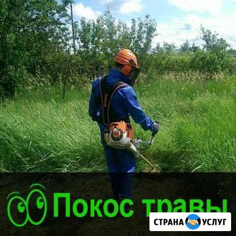 Скос,покос травы на участке Горно-Алтайск - изображение 1