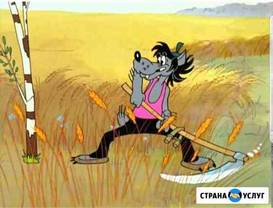 Покос травы Выборг
