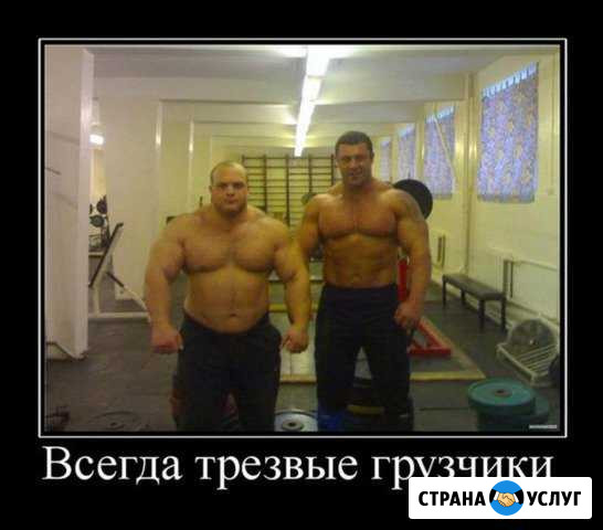 Грузчики Газели Великий Новгород - изображение 1