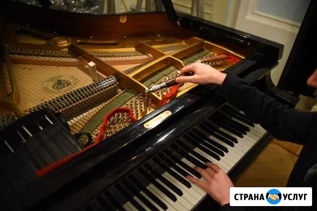 Настройка и ремонт пианино и роялей Санкт-Петербург - изображение 1