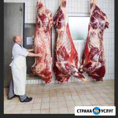 Доставка мяса Краснодар