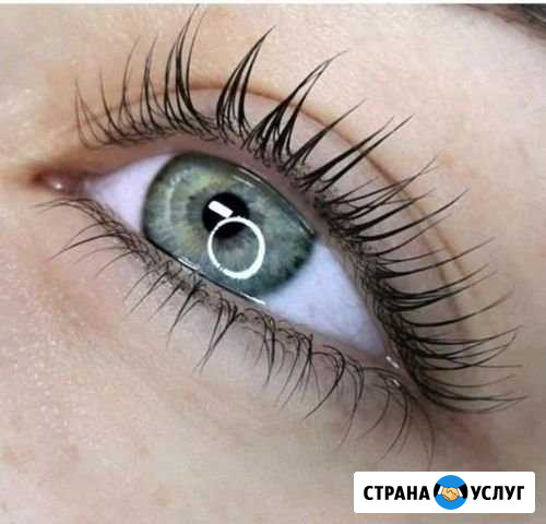 Ламинирование ресниц Сургут - изображение 1