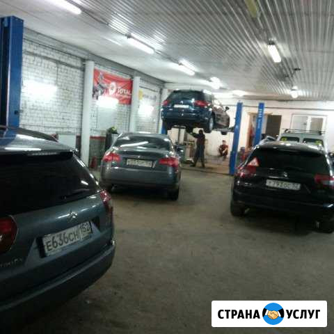 Пежо и Ситроен ремонт автомобилей Нижний Новгород - изображение 1