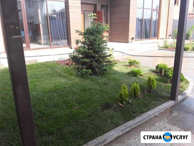 Газон под ключ Красногорск - изображение 1