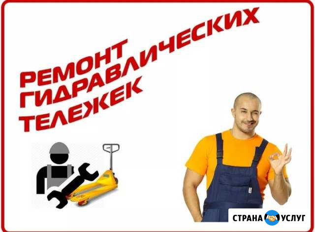 Ремонт Тележек Владимир - изображение 1