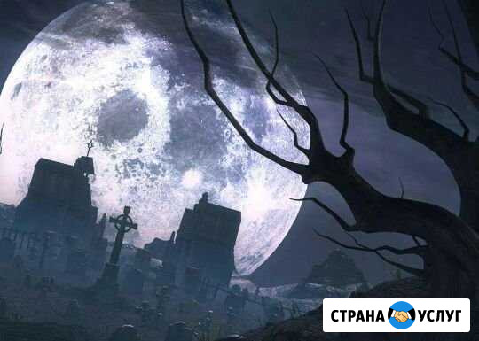 Ищем гитариста Покров - изображение 1