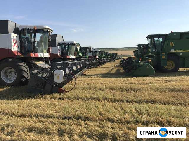 Услуги по уборке урожая комбайнами Елизаветинское - изображение 1