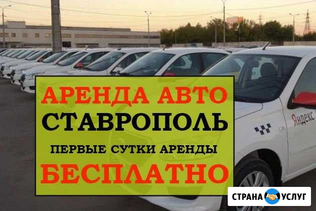 Аренда авто Работа Яндекс Такси Ставрополь - изображение 1