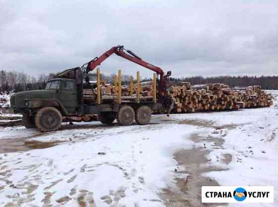 Сухостойная сосна Кело в любом количестве Надвоицы