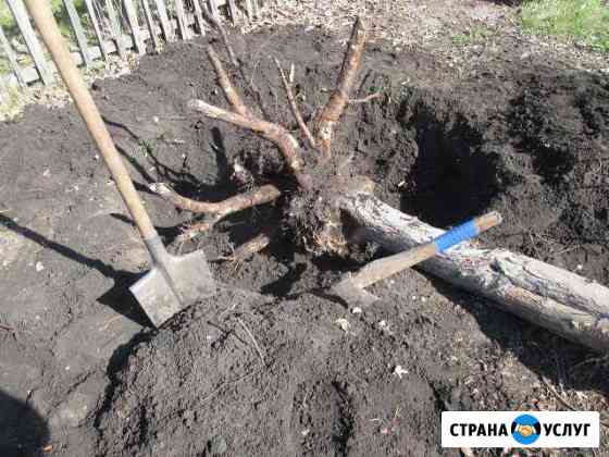 Корчевание деревьев, удаление пней, дачи и сады Омск
