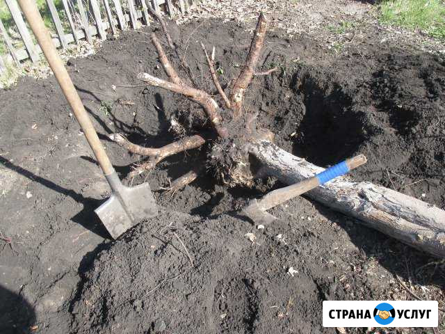 Корчевание деревьев, удаление пней, дачи и сады Омск - изображение 1