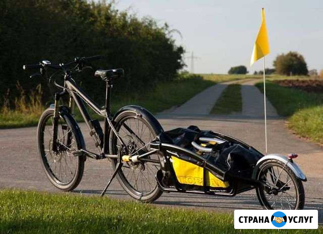 Велоприцеп Topeak Journey Trailer Санкт-Петербург - изображение 1