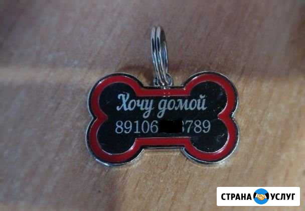 Жетон адресник медальон для собаки Тверь - изображение 1