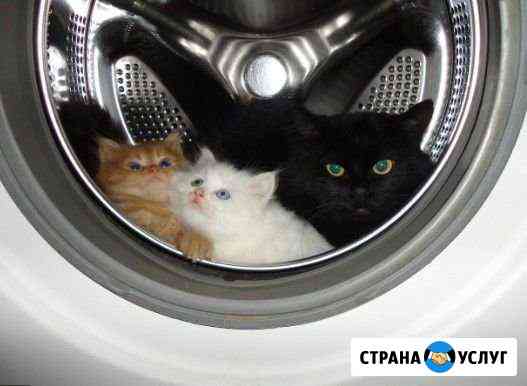 Ремонт стиральных машин Нижний Новгород