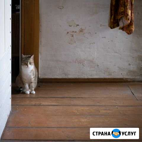 Фото и видео съемка Тюмень - изображение 1