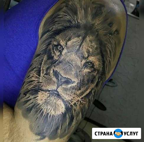 Тату Реутов - изображение 1