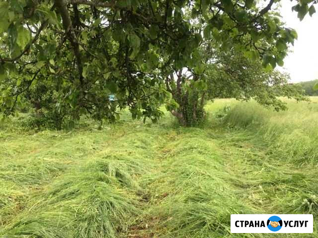 Окос травы Сараи - изображение 1