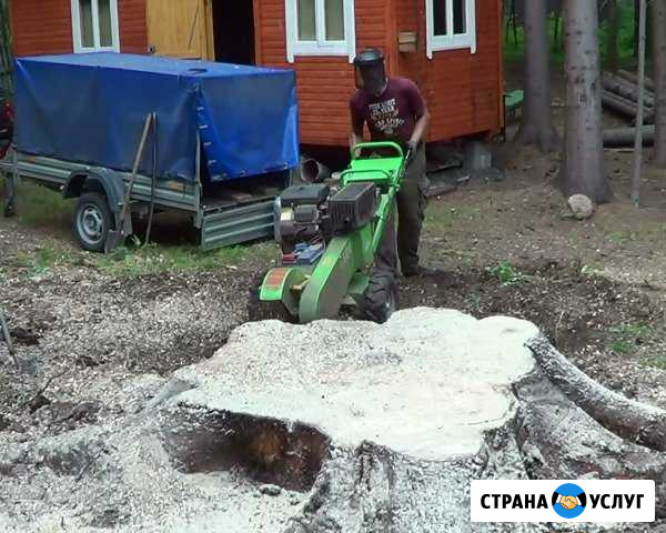 Корчевание пней, удаление пней Брянск - изображение 1