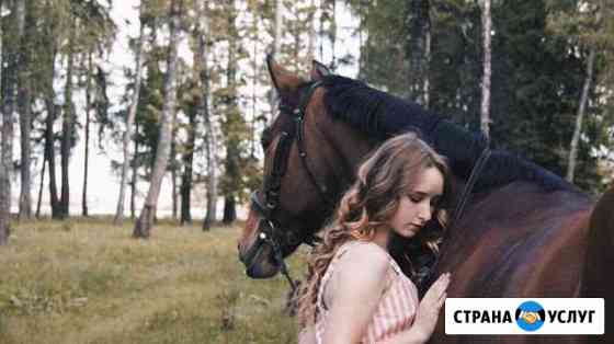 Фотосессии с лошадьми Фрязино