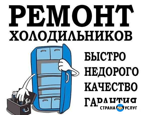 Ремонт холодильников и стиральных машин на дому Мурино - изображение 1
