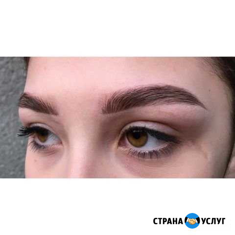 Бровист Нальчик - изображение 1