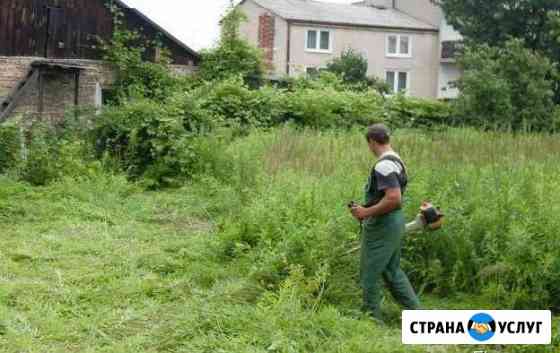 Покос травы, спил деревьев, грузчики Горячий Ключ