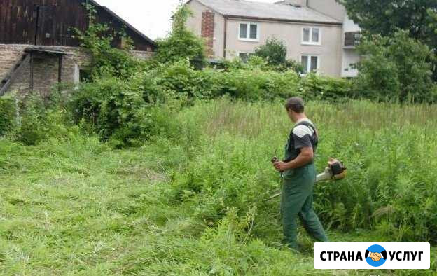 Покос травы, спил деревьев, грузчики Горячий Ключ - изображение 1