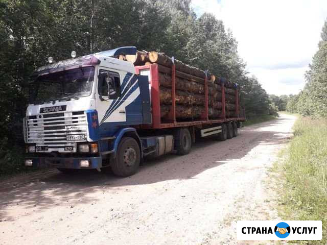 Перевозка, вывозка леса Вязьма - изображение 1