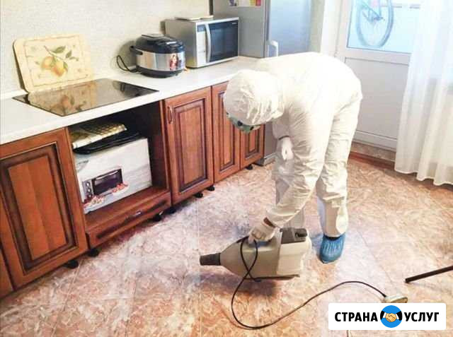 Уничтожение Тараканов Клопов Плесени Насекомых Астрахань - изображение 1