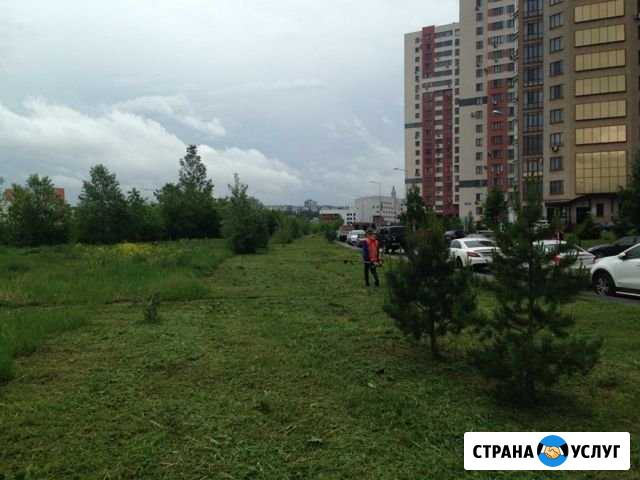 Выкос,прокос,окос травы Кемерово - изображение 1