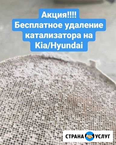 Бесплатное удаление катализатора Kia/Hyundai Будённовск - изображение 1
