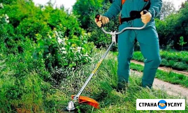 Расчистка участков, покос травы Красная Поляна - изображение 1