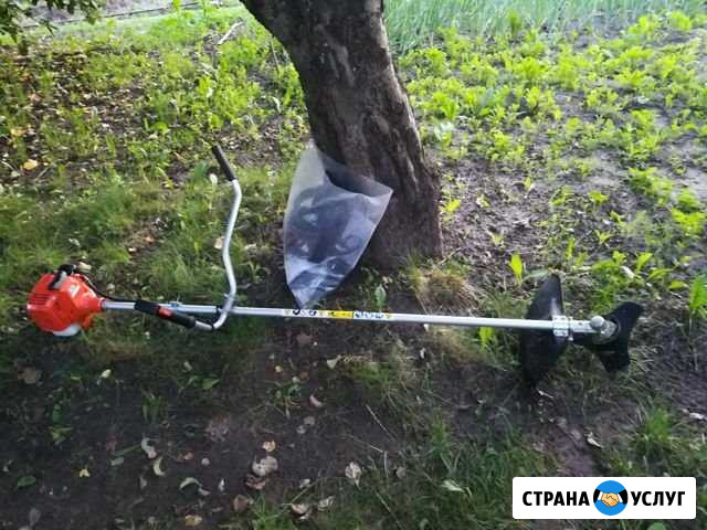 Покос травы триммером Курск - изображение 1