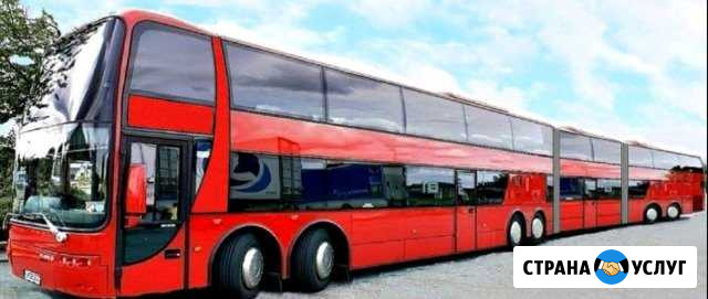 Заказ Автобуса, от 8 до 50 мест. Город, меж город Братск - изображение 1