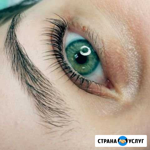 Ламинирование ресниц Люберцы - изображение 1