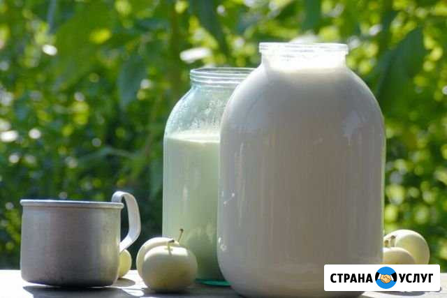 Молоко на дом Пятигорск - изображение 1