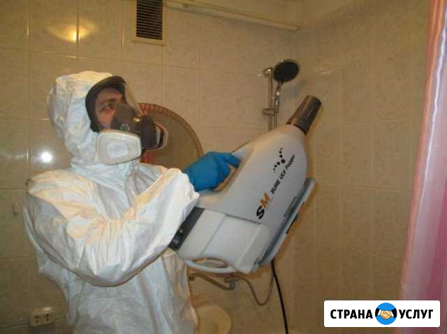 Дезинсекция, дератизация, дезинфекция Пенза - изображение 1
