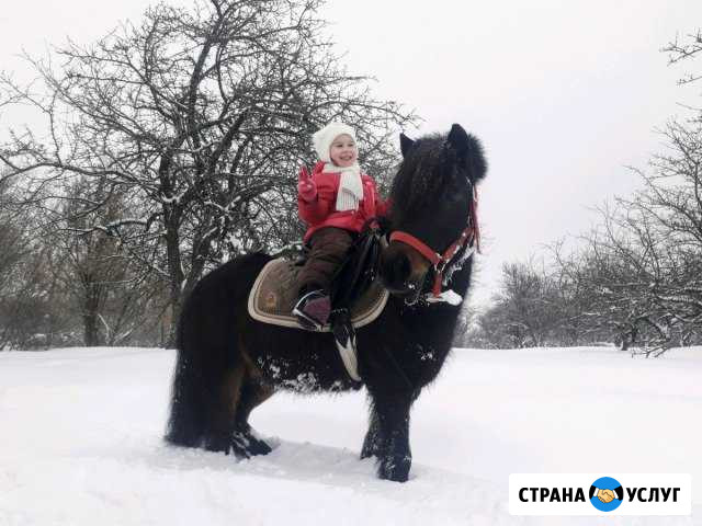 Пони на Ваш праздник Курск - изображение 1