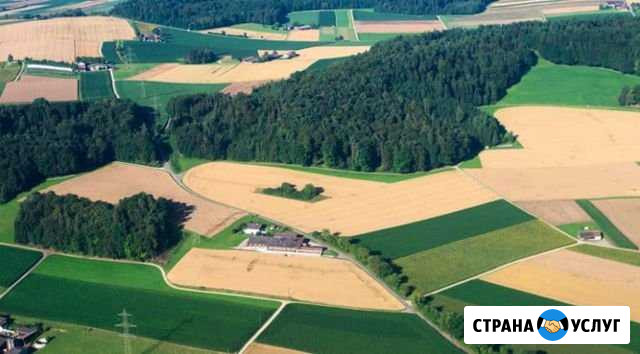 Оформление земельного участка Красногорск - изображение 1