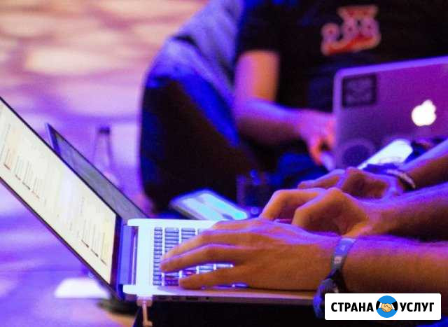 Сайт компании быстро и качественно с продвижением Лобня - изображение 1