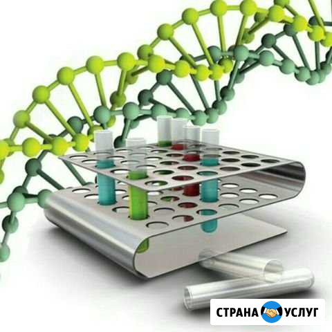 Он-лайн репетитор по химии и биологии Калининград - изображение 1