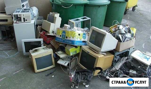 Бесплатный вывоз Новоуральск - изображение 1