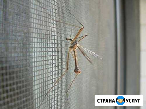 Москитные сетки Смоленск - изображение 1