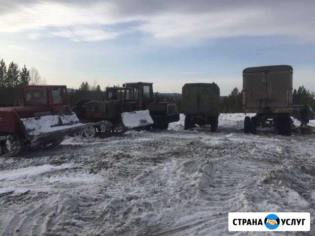 Лесозаготовка Норильск - изображение 1